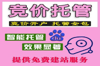 谷歌SEM广告投放案例：提升转化率秘诀